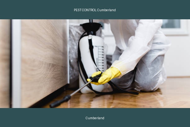 PEST CONTROL Cumberland